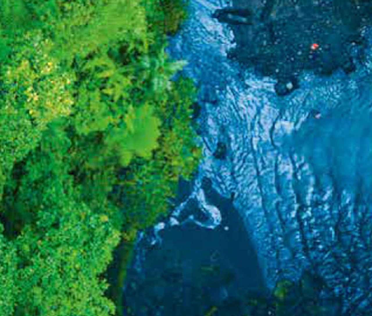 Home thyssenkrupp AG