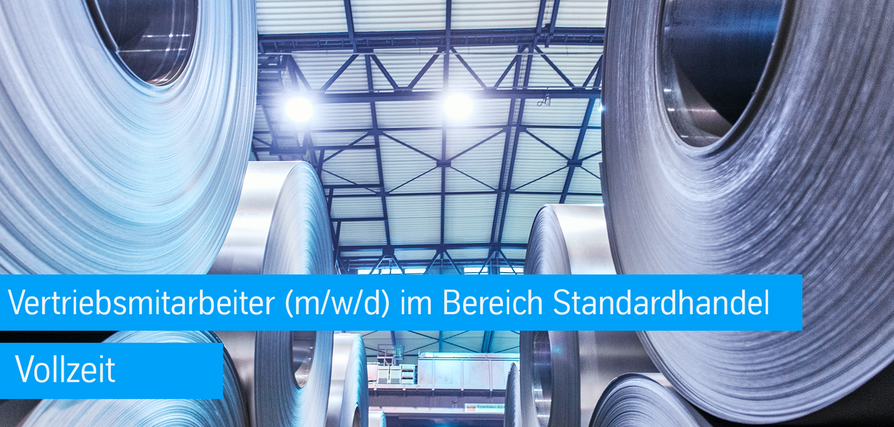 Vertriebsmitarbeiter/in