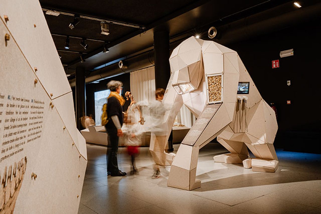 Kijk mee hoe de tentoonstelling opgebouwd werd