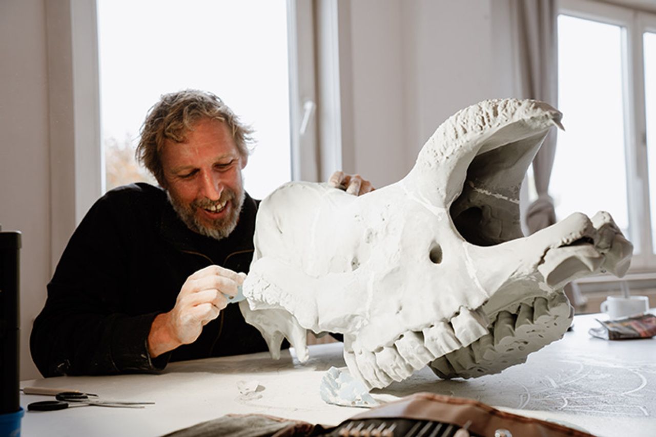 Schedel van prehistorisch dier schuren