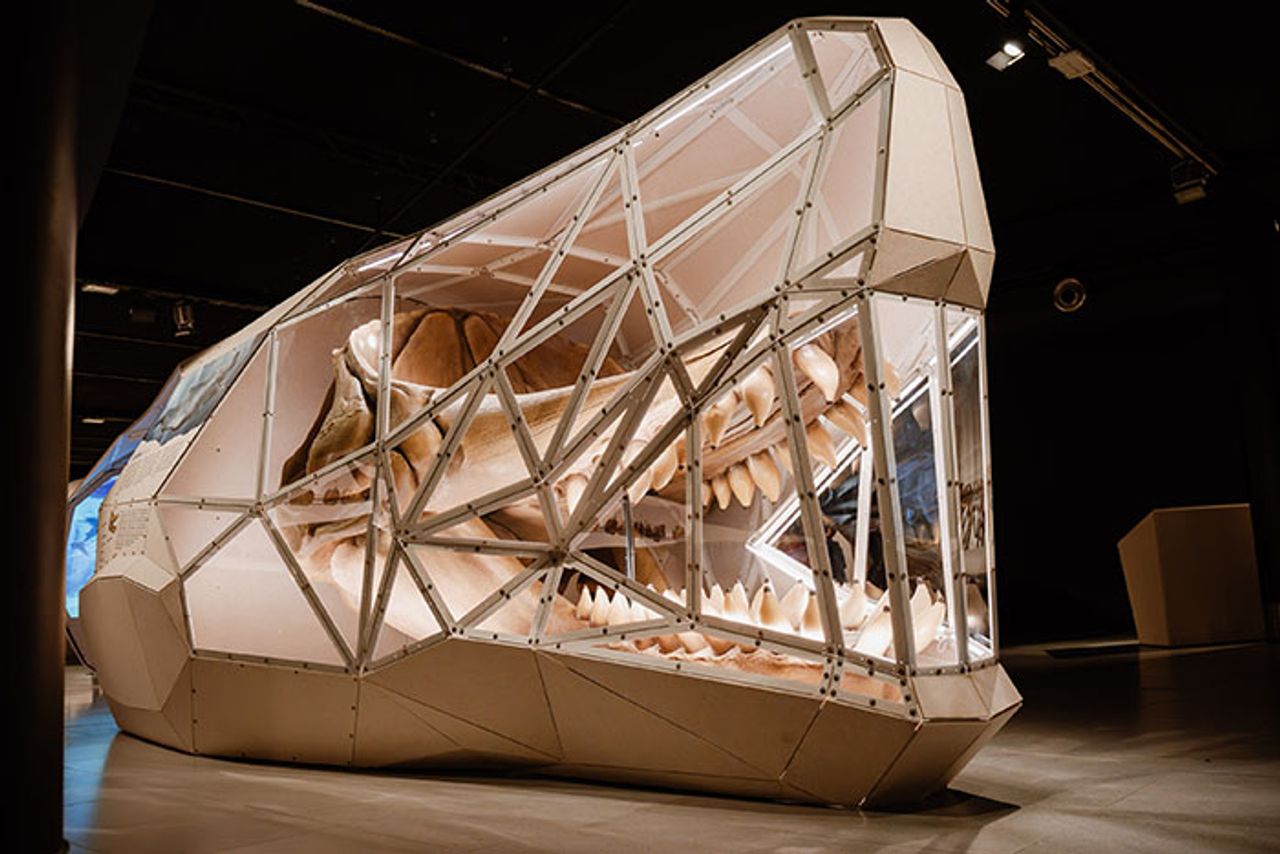 Livyatan walvis Giants