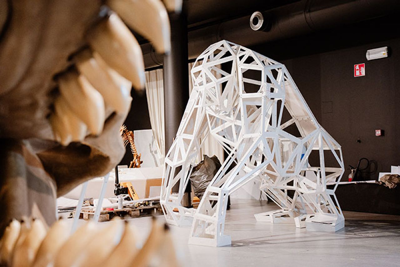 Gepoederlakt facetgeraamte gorilla