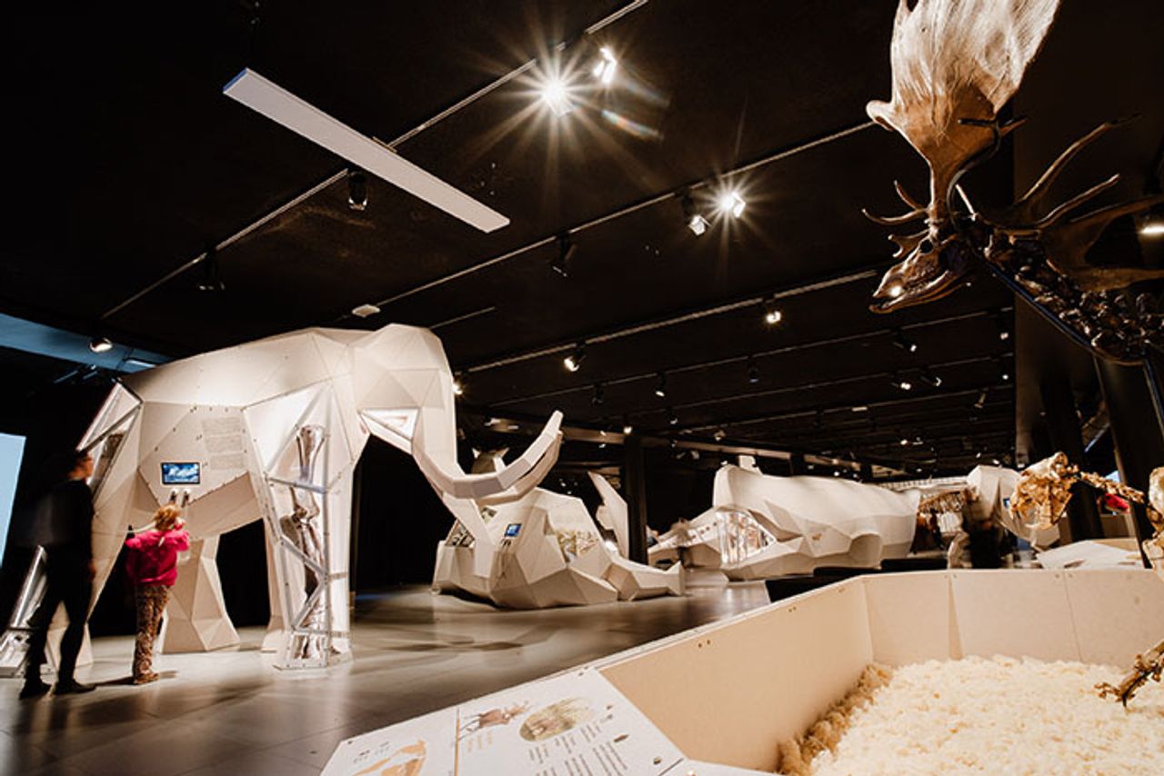 Giants tentoonstelling