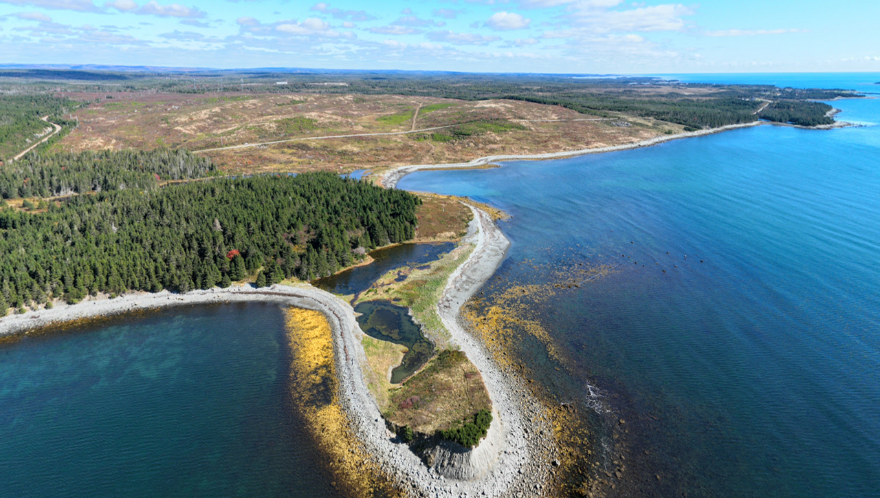 thyssenkrupp Uhde selected for biomass-to-methanol technology integration study for Nova Sustainable Fuels in Canada