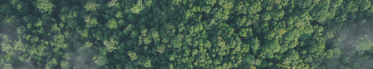 Digital counter showing cumulative CO₂e savings and NOx emissions reduced by the EnviNOx® system, highlighting its climate impact