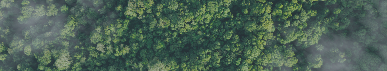 Digital counter showing cumulative CO₂e savings and NOx emissions reduced by the EnviNOx® system, highlighting its climate impact