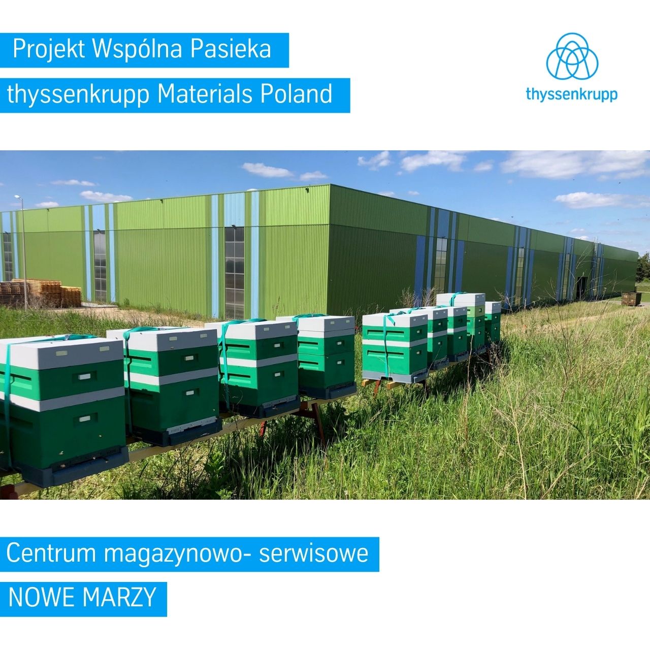 pasieka na terenie centrum magazynowo-serwisowego w Nowych Marzach